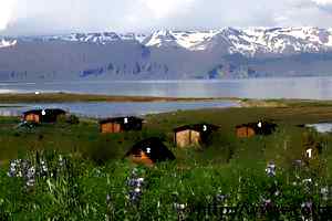 cottages-kaldbakur-husavik-iceland.jpg