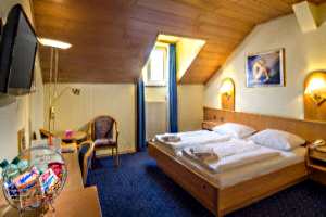 wild-pension-vienna-double-room.jpg