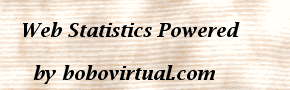 STATISTICS OF VISITS AND SUMMARY OF STATISTICS