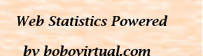 VISITS AND SUMMARY OF STATISTICS