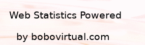 VISITS AND SUMMARY OF STATISTICS