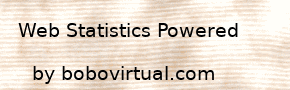 STATISTICS OF VISITS AND SUMMARY OF STATISTICS - boboraz.com