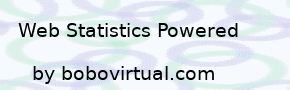 VISITS AND SUMMARY OF STATISTICS