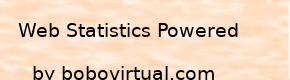 VISITS AND SUMMARY OF STATISTICS