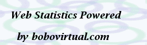 STATISTICS OF VISITS AND SUMMARY OF STATISTICS